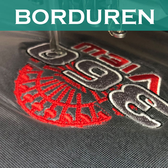 Borduren-Zwaluw